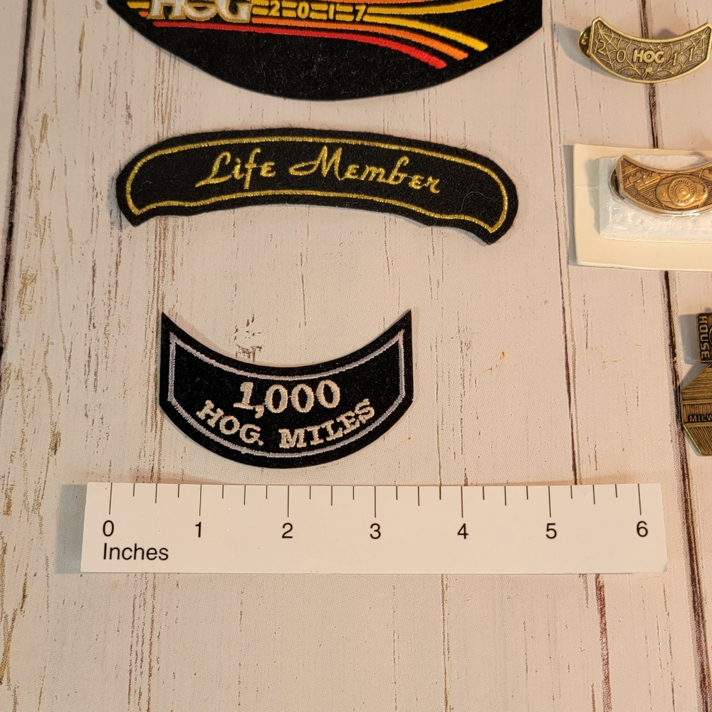 Harley-Davidson Motorcycle Biker Club Patches & Pins for Vest 13 Pc Lot- Surgis - Picture 3 of 3